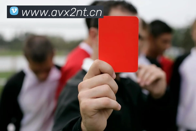 星空网官方网址入口平台生态图