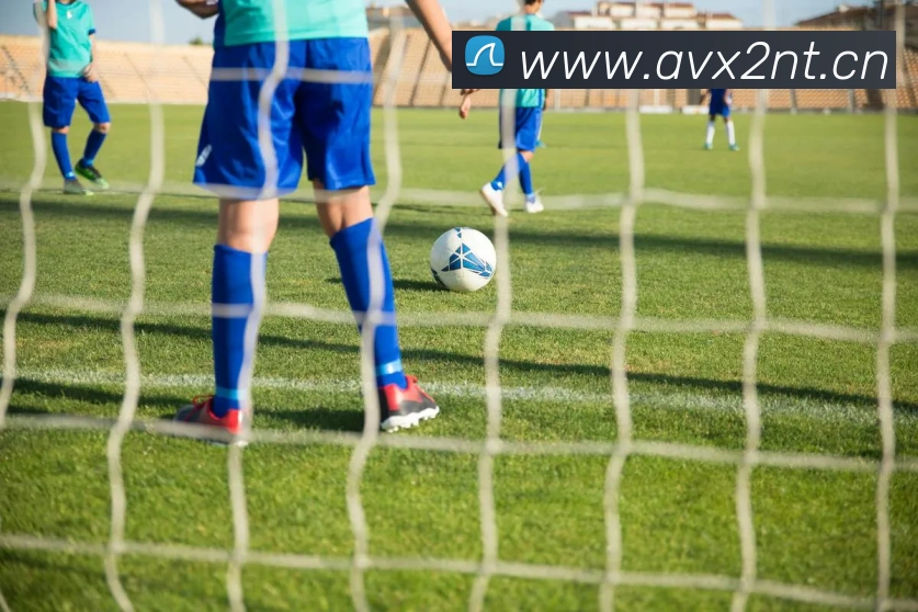 星空网官方网址入口全站App